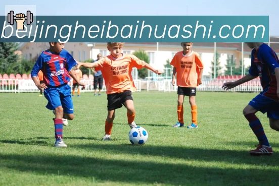 开云kaiyun网页版平台生态图