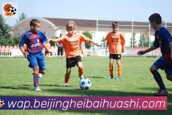 开云kaiyun网页版品牌故事