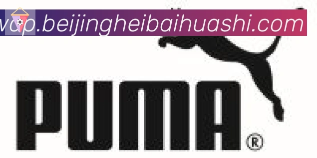 开云kaiyun网页版合作伙伴