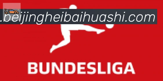 开云kaiyun网页版合作伙伴